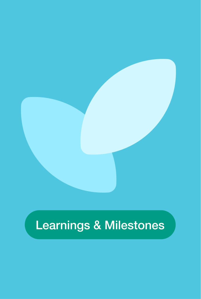 &why: B-Lab - The Journey of Doing Case Learnings and Milestones