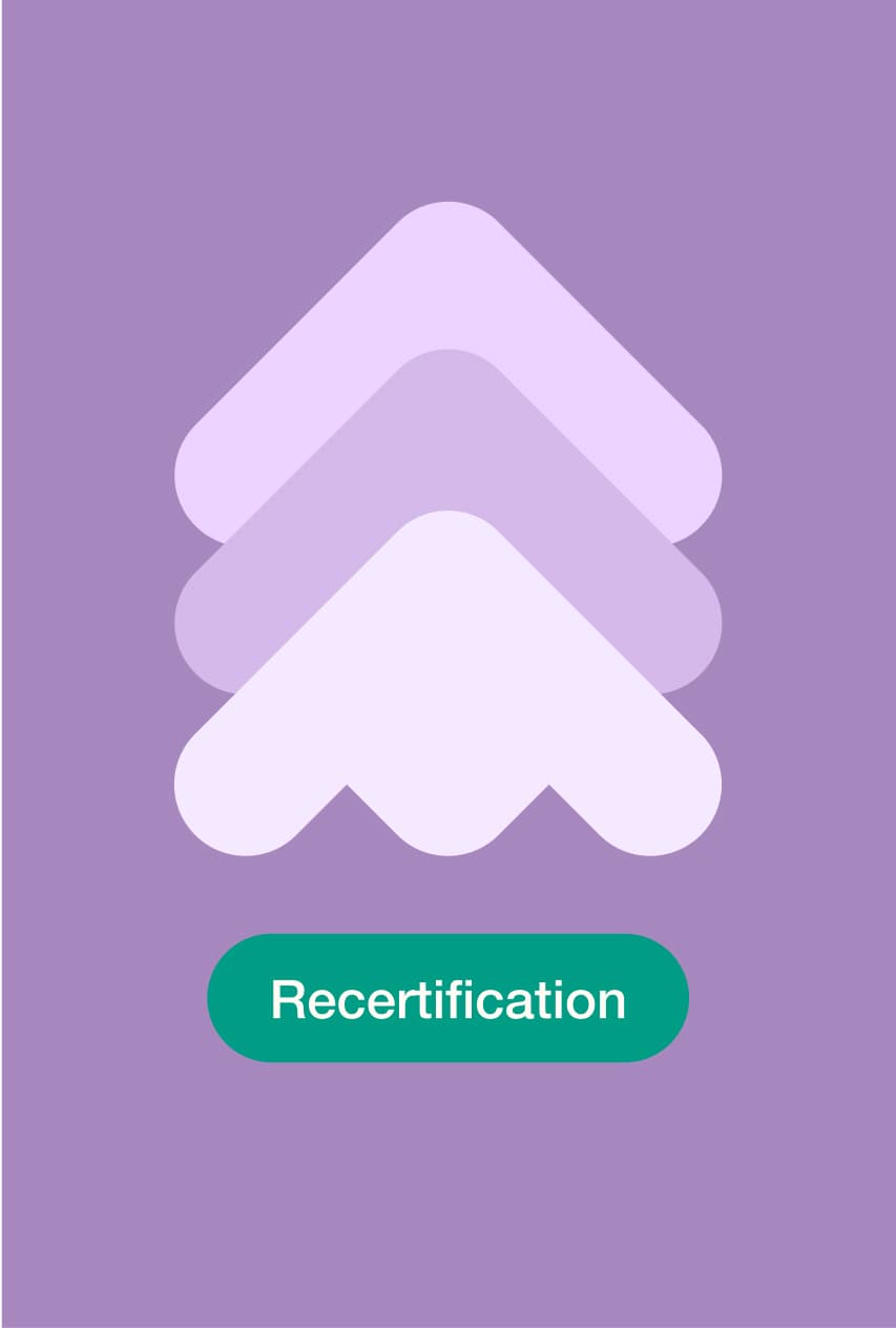 &why: B-Lab - The Journey of Doing Case Recertification