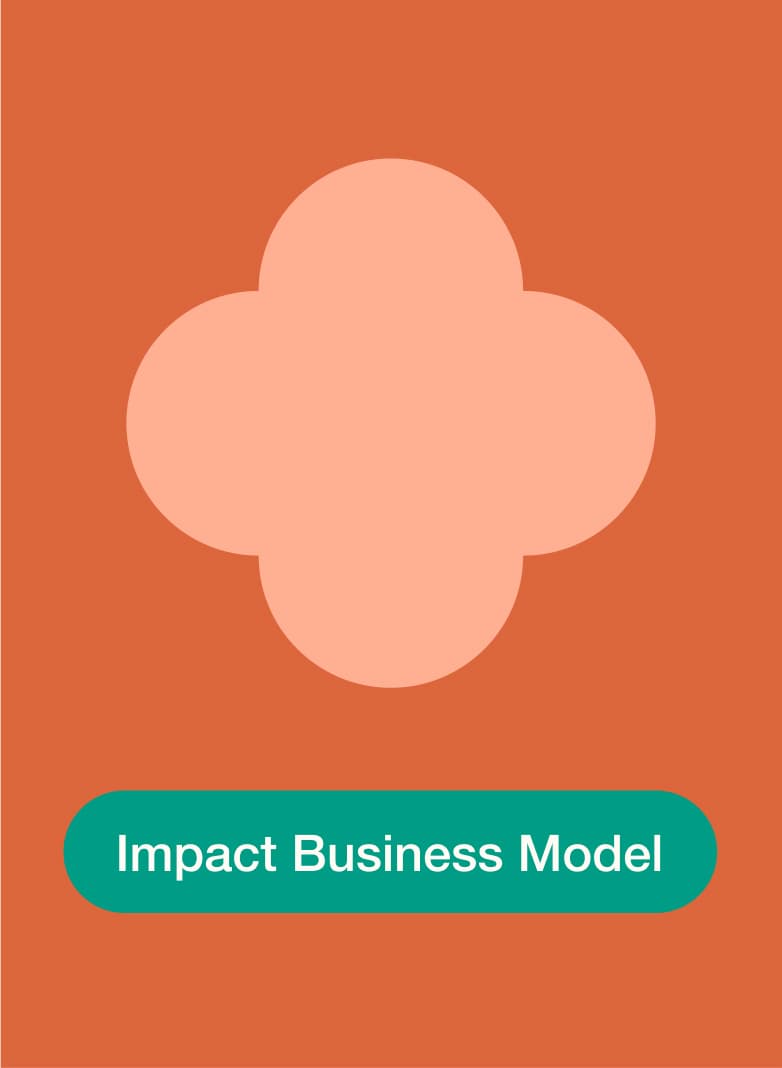 &why: B-Lab  The Journey of Doing Case Impact Business Model