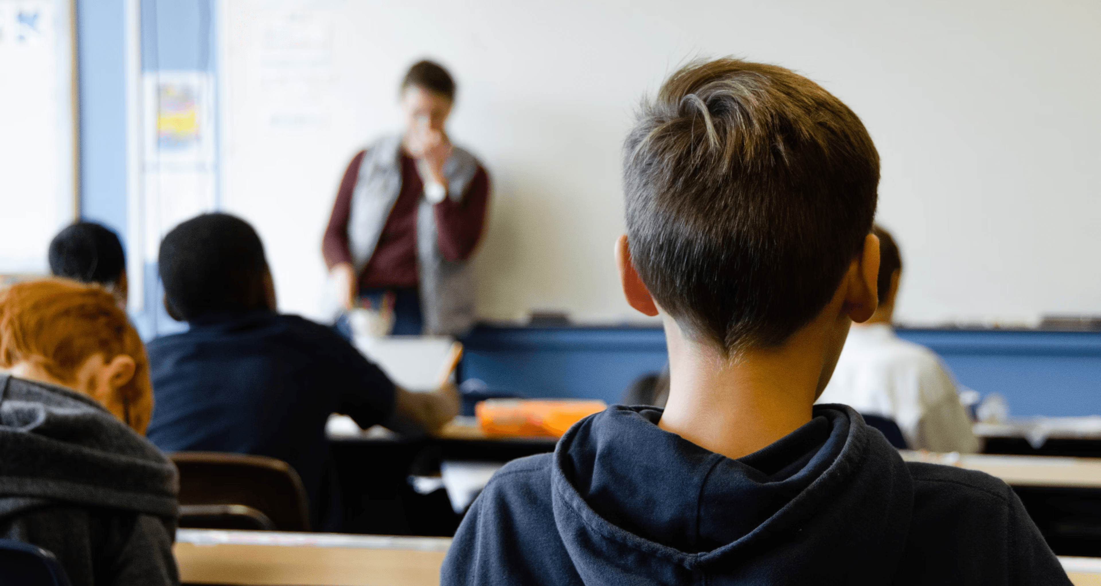 &why: Cartorik - View of the back of a boy's head sitting in a classroom and looking towards the blackboard